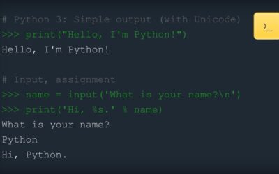 Python Programming Language Introduction