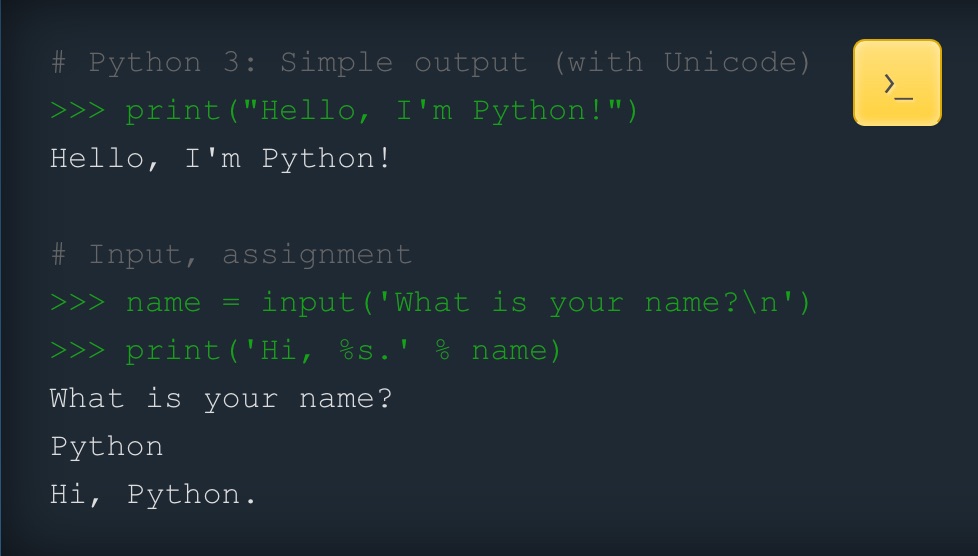 python language